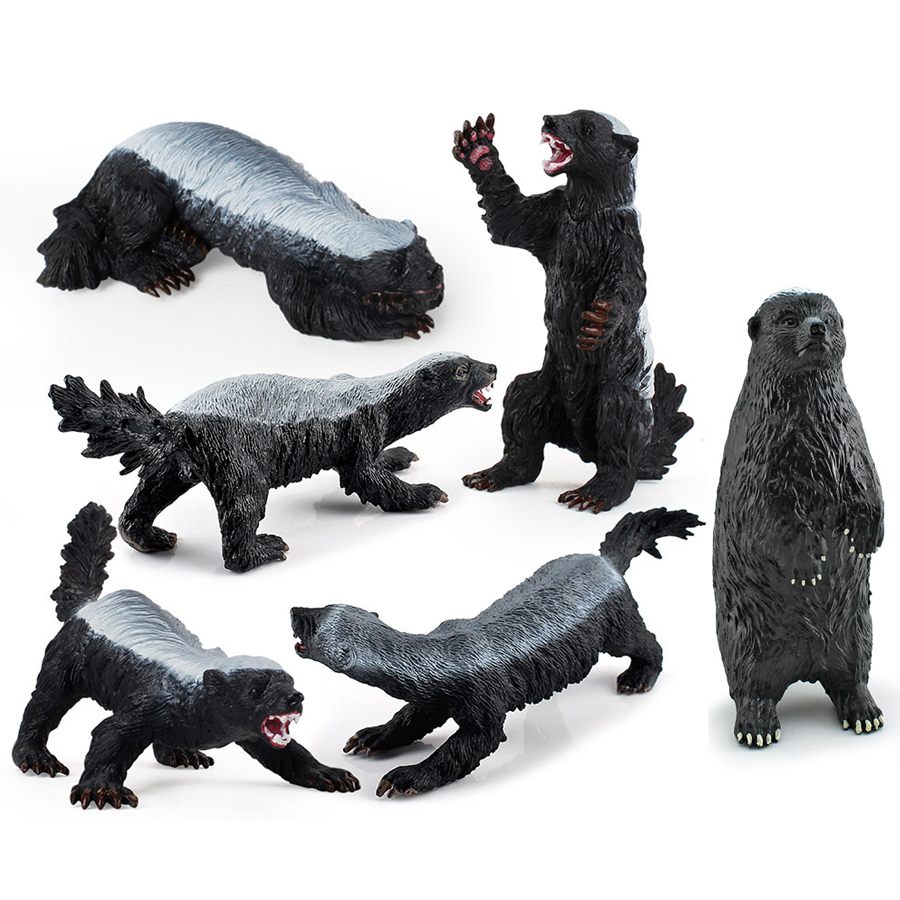 Kids Toys China - สมจริง รูปแบบจำลองฮันนี่แบดเจอร์ จำลองสัตว์ป่า ฟิกเกอร์เมลลิโวร่า คาเพนซิส แอคชั่นฟิกเกอร์