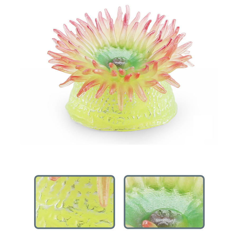 โมเดลพลาสติกปลาปะการังทะเล ของ - Kids Toys China บทวิจารณ์และราคา