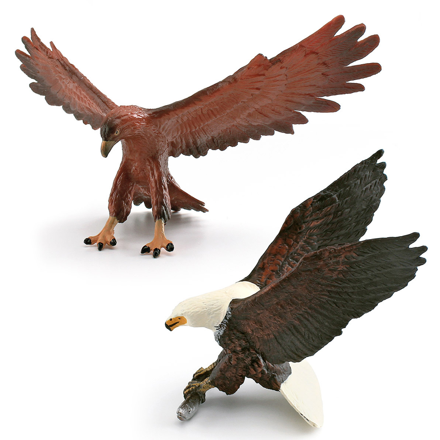 โมเดลจำลองสัตว์ป่า นกเหยี่ยว น - Kids Toys China บทวิจารณ์และราคา