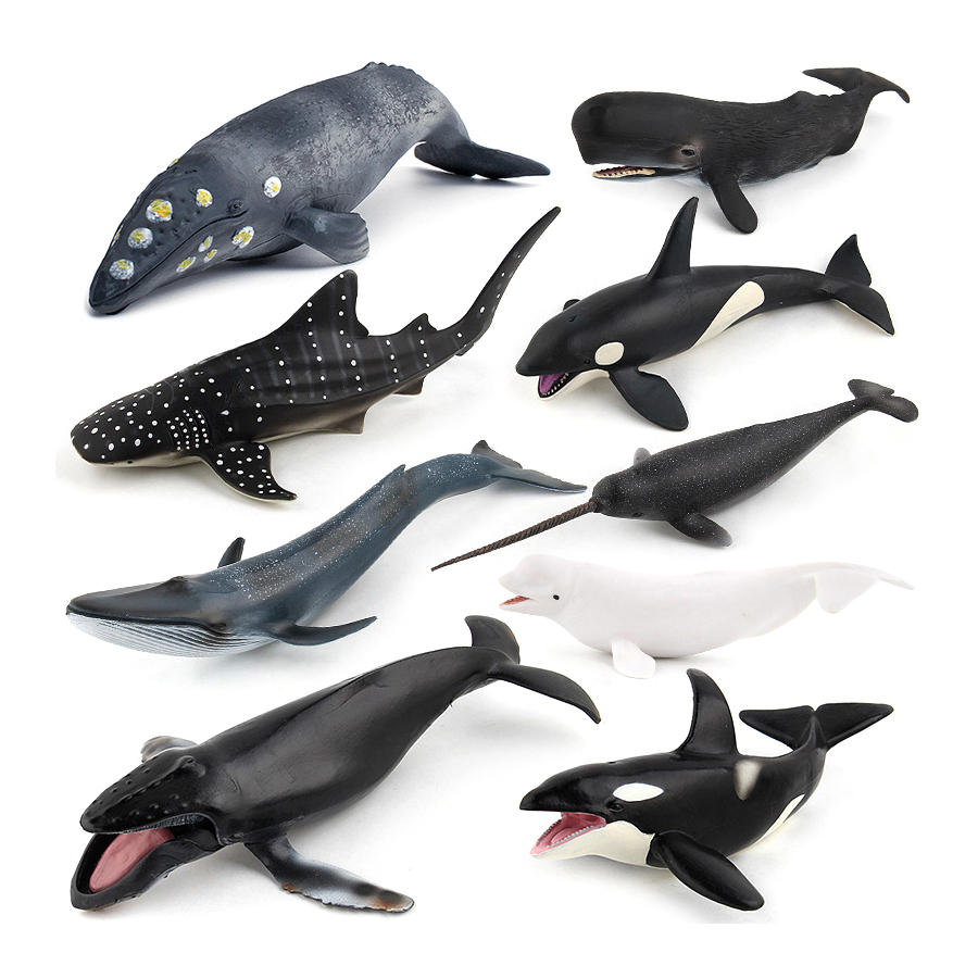 โมเดลสัตว์ทะเลจำลอง วาฬหลังโค้ - Kids Toys China บทวิจารณ์และราคา