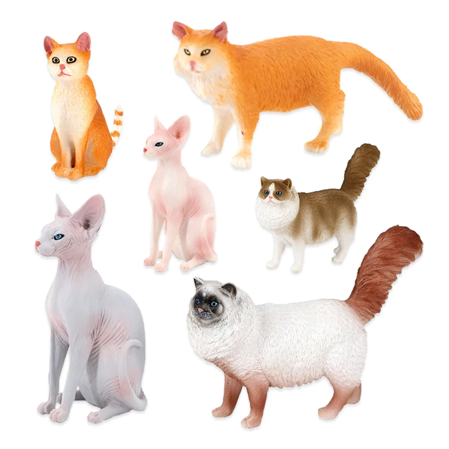 โมเดลแมว ของเล่นสัตว์ในฟาร์ม ข - Kids Toys China บทวิจารณ์และราคา