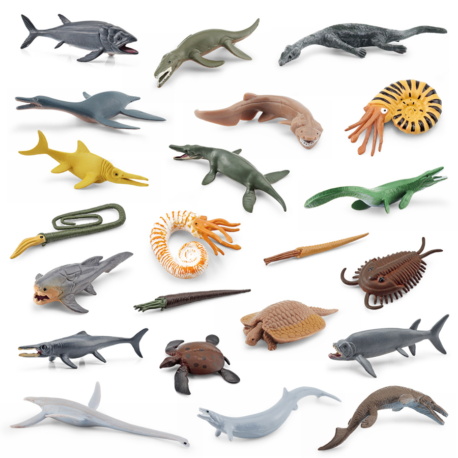โมเดลสัตว์ทะเลยุคก่อนประวัติศา - Kids Toys China บทวิจารณ์และราคา