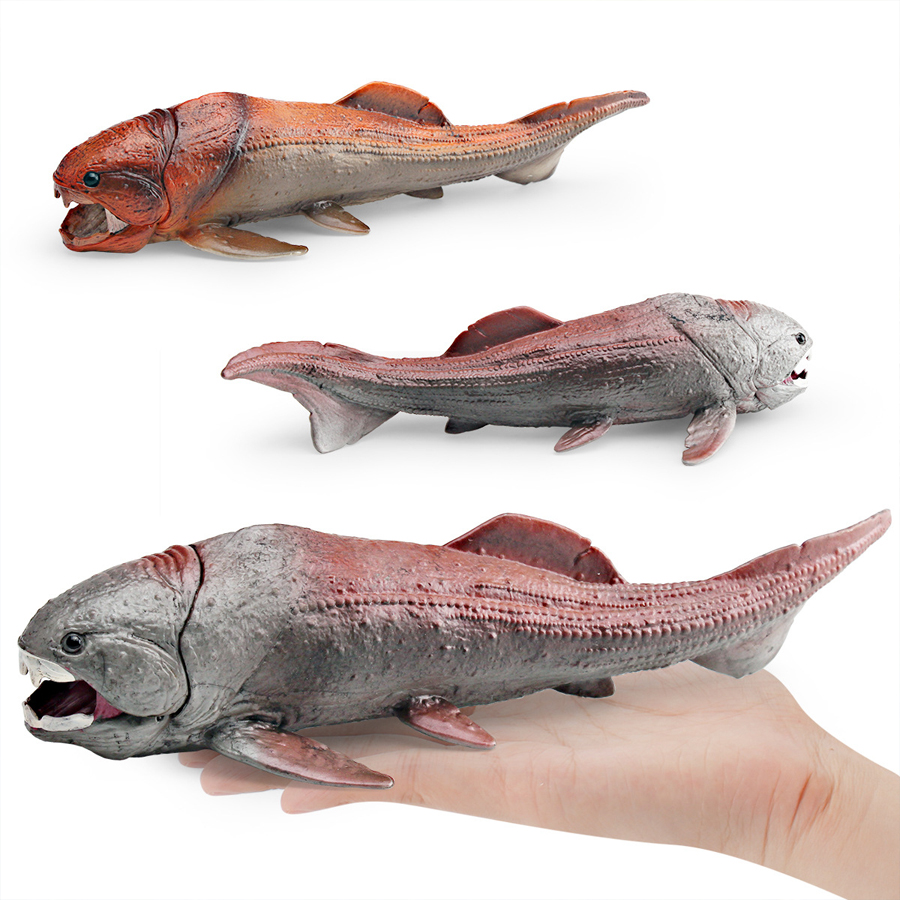 โมเดลสัตว์ทะเลยุคก่อนประวัติศา - Kids Toys China บทวิจารณ์และราคา