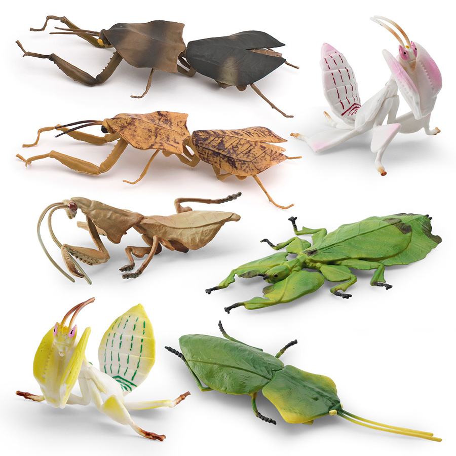 แมงมุมกล้วยไม้จำลอง แมงมุมใบไม - Kids Toys China บทวิจารณ์และราคา